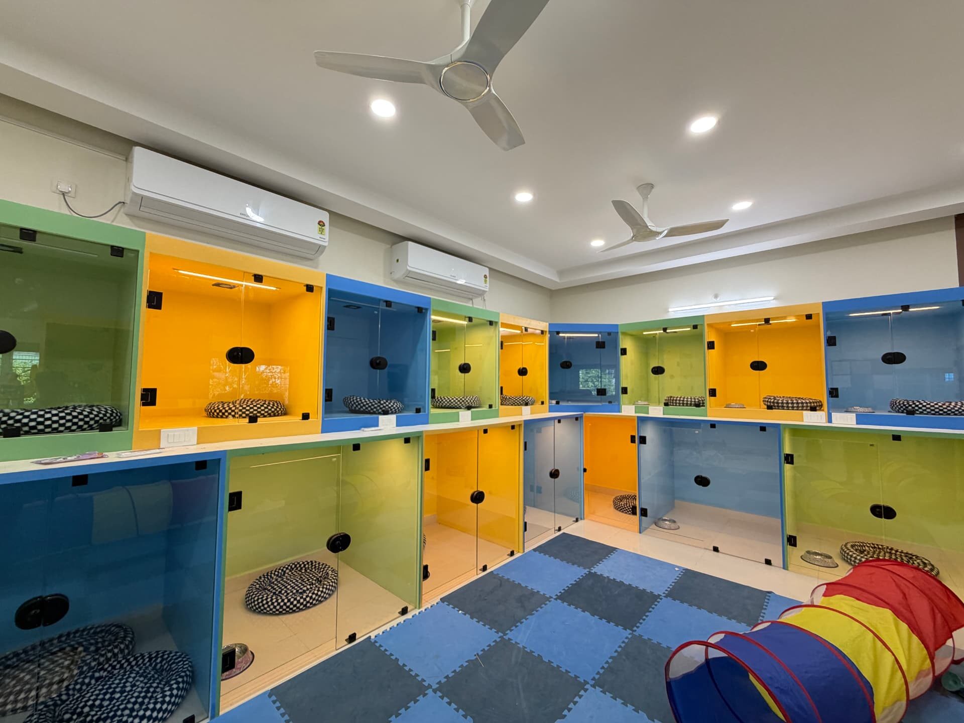 Colourful individual dog rooms inside Pawkie Planet